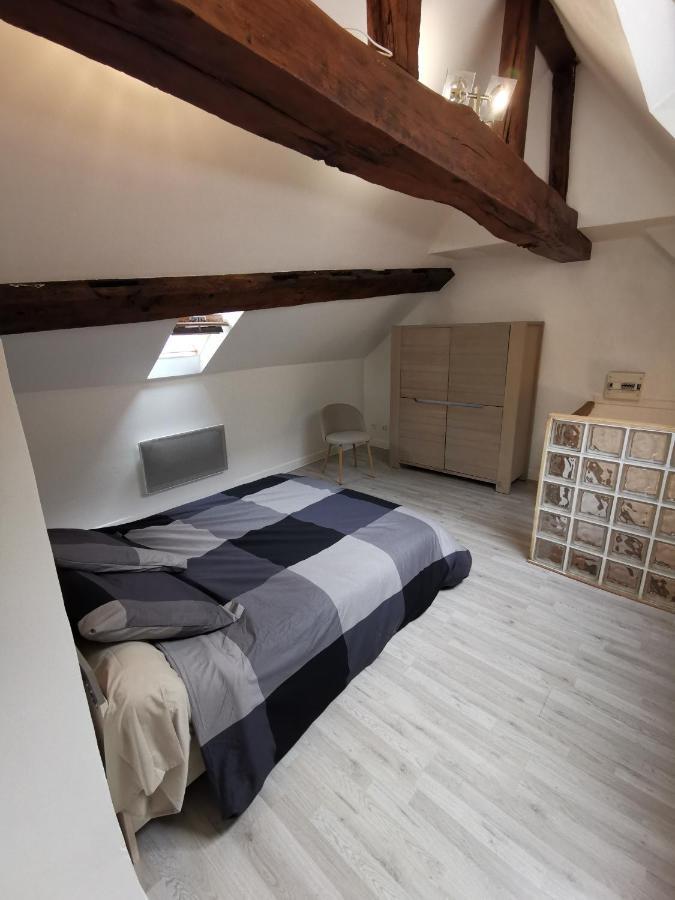 Appartement Hyper Centre Au Bord De Loire Орлеан Экстерьер фото